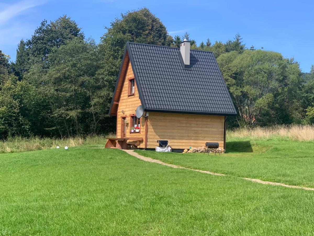 Dwernik Bukowina Bieszczady Villa Eksteriør bilde
