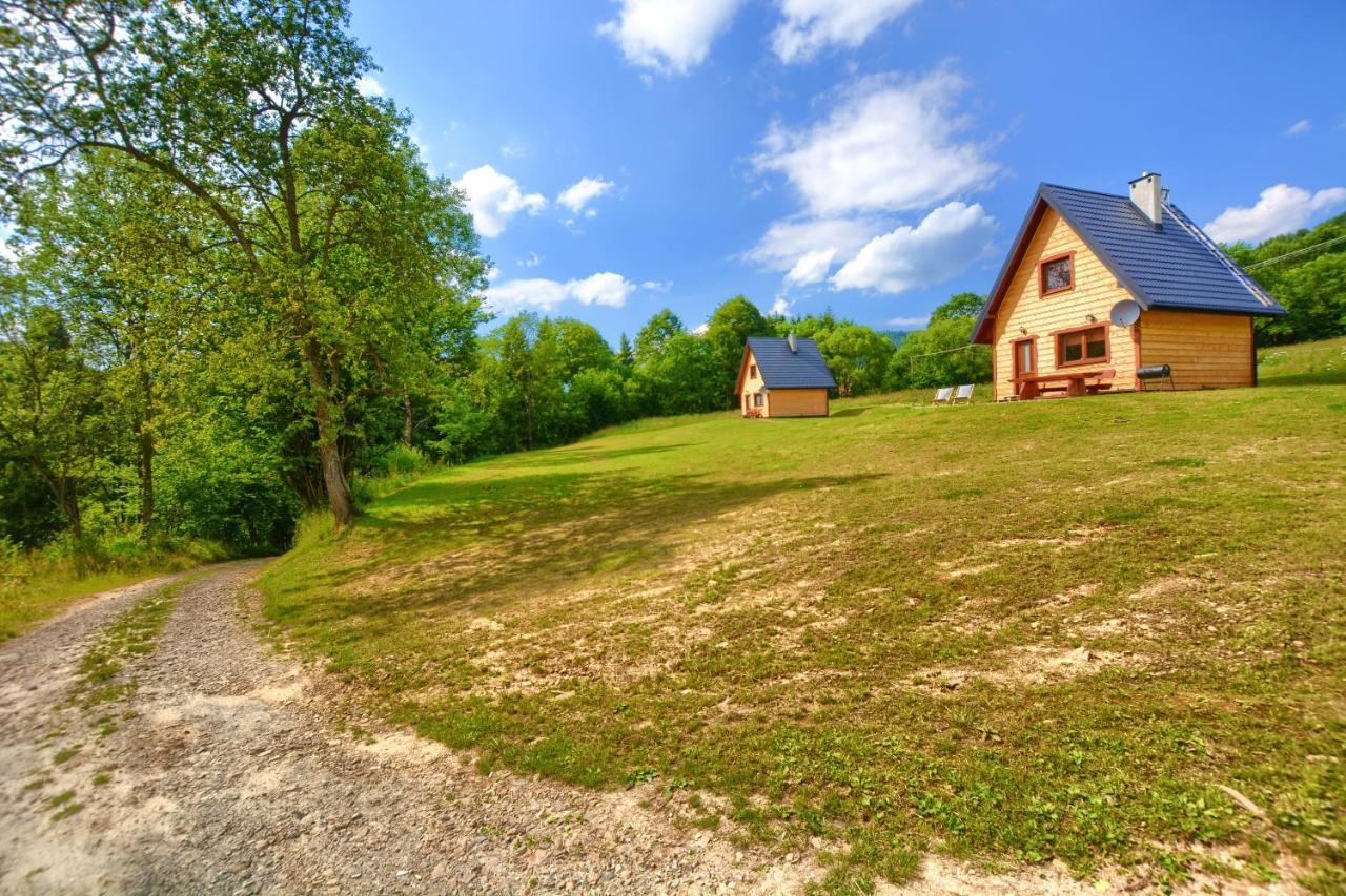 Dwernik Bukowina Bieszczady Villa Eksteriør bilde