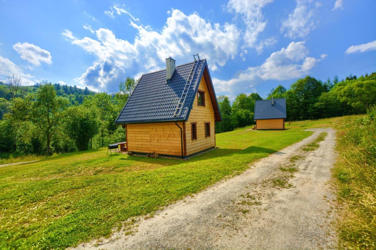 Dwernik Bukowina Bieszczady Villa Eksteriør bilde